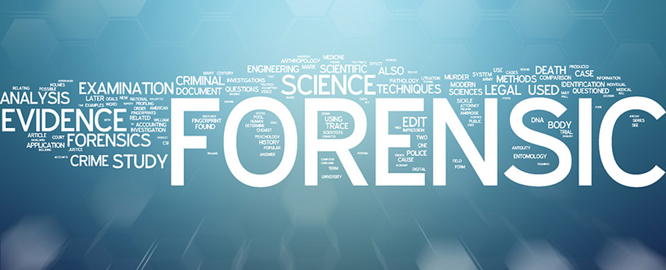 How Better Processes and Information Can Improve Digital Forensic Science:  January's Research Roundup - Forensic Focus