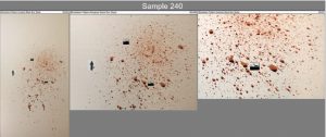 Figure 1 from the article shows examples of bloodstain patterns used in the study.