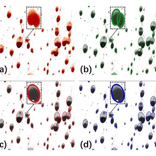 Figure 11 from the study shows the ellipse fitting results for a bloodstain pattern. The bloodstain pattern is transformed into a grayscale image to highlight the fitting results in different colors for different methods in images (b, c, d). (a) A part of the bloodstain pattern image, (b) result from the proposed method, (c) result from Zafari et al. (2016) model and (d) result from the Panagiotakis et al. (2018) model.
