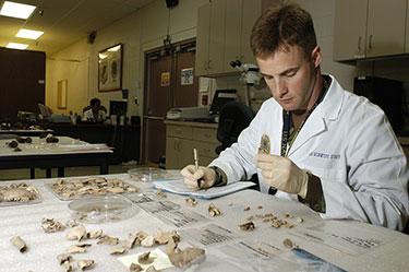 A scientist in a lab coat analyzes bone fragments and takes notes in a laboratory setting.