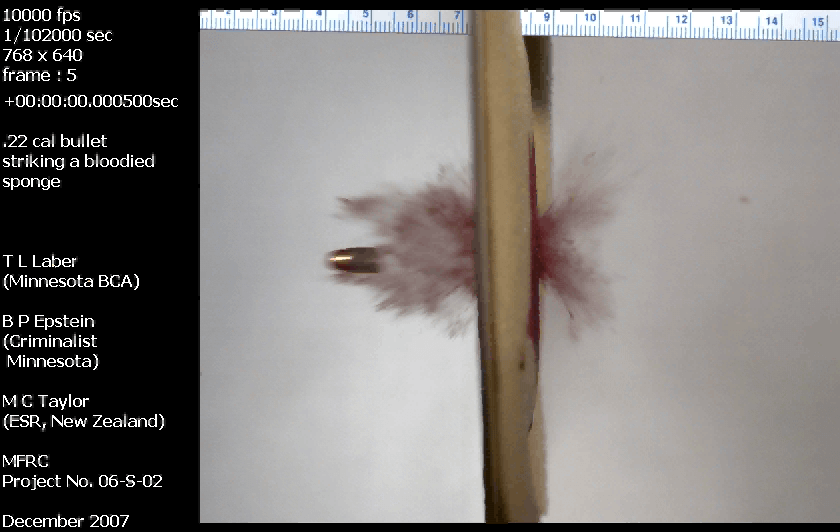 .22 caliber bullet hits a bloodied sponge, causing a splash, filmed at high speed.