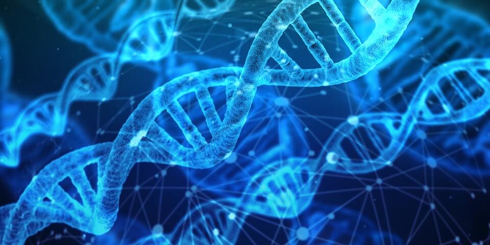 Close-up of blue DNA double helix strands with network lines on a dark blue background.