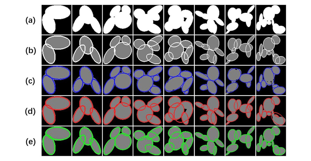 Grid of abstract white shapes with outlines in various colors across five rows labeled (a) to (e).