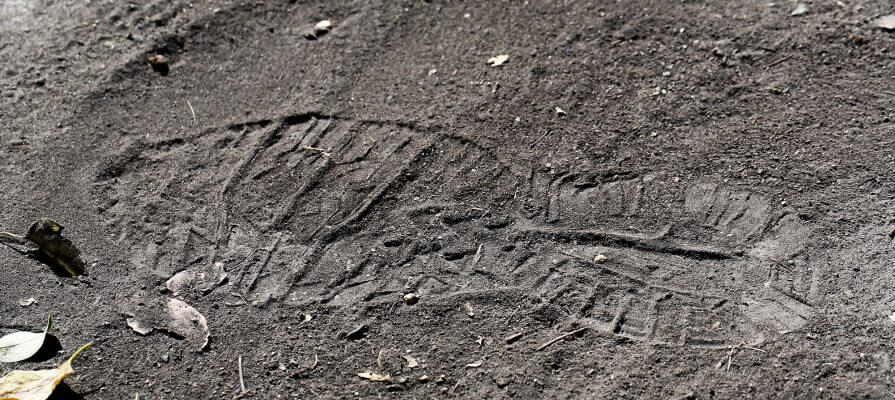 A clear shoe print in dry, dark soil with scattered leaves and small debris around it.