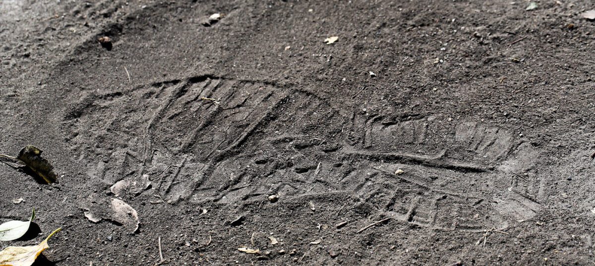 A shoe print with a detailed tread pattern is pressed into dark soil, surrounded by small debris.