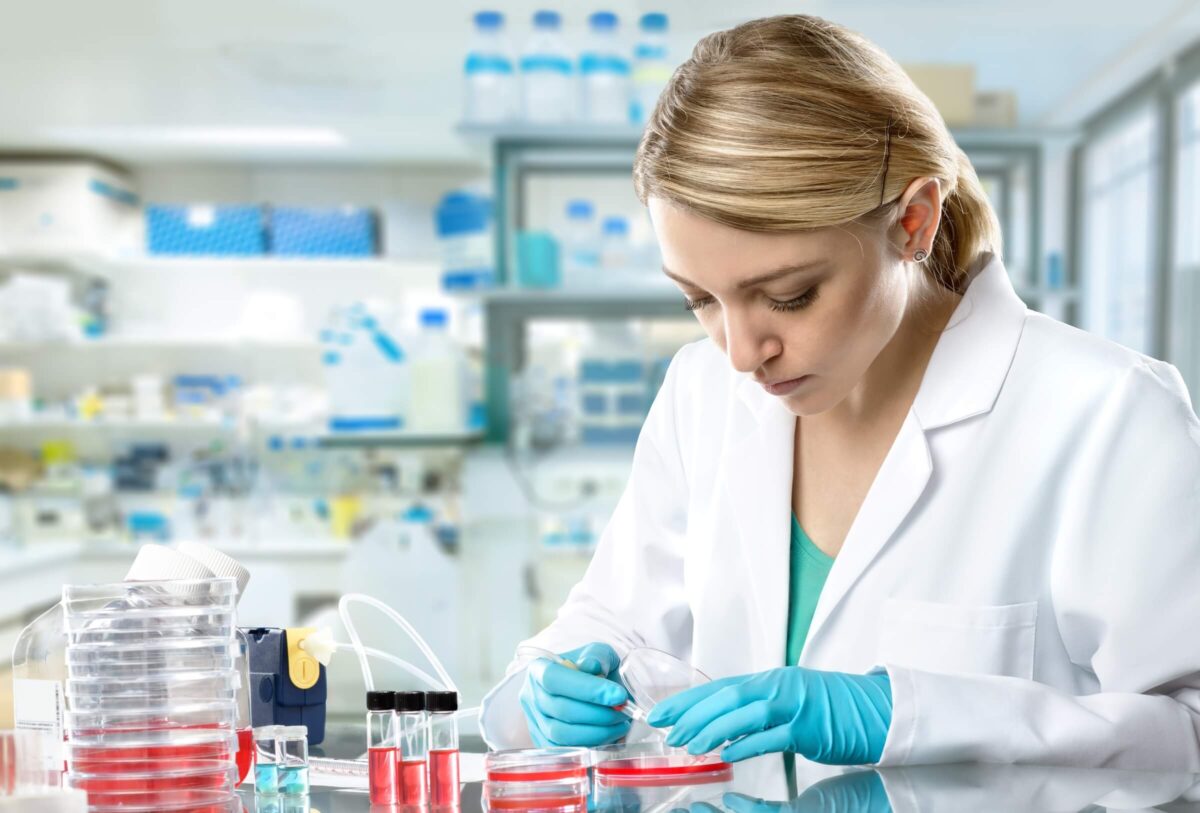 A scientist in a lab coat and gloves works with petri dishes in a laboratory setting.