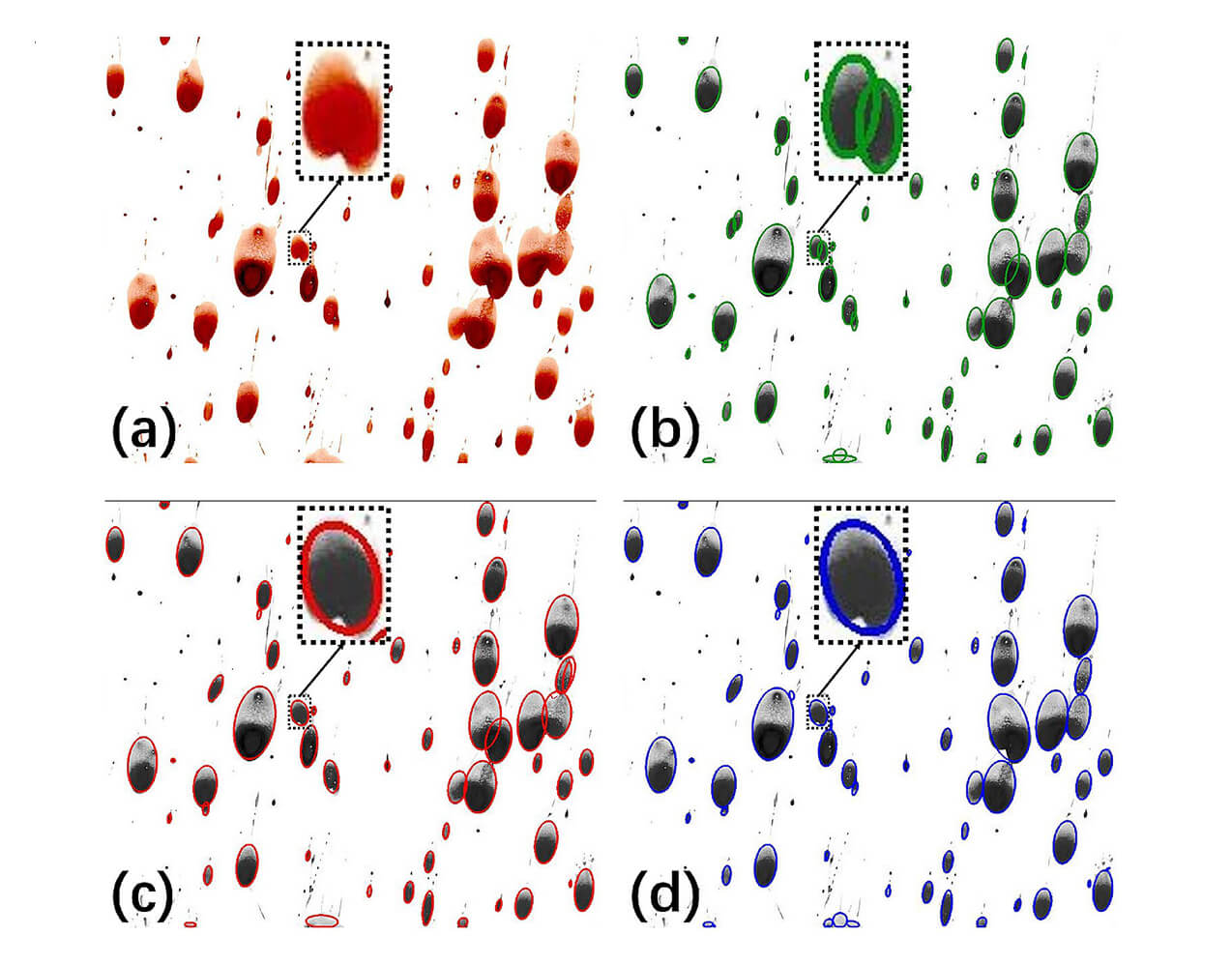 Figure 11 from the study shows the ellipse fitting results for a bloodstain pattern. The bloodstain pattern is transformed into a grayscale image to highlight the fitting results in different colors for different methods in images (b, c, d). (a) A part of the bloodstain pattern image, (b) result from the proposed method, (c) result from Zafari et al. (2016) model and (d) result from the Panagiotakis et al. (2018) model.