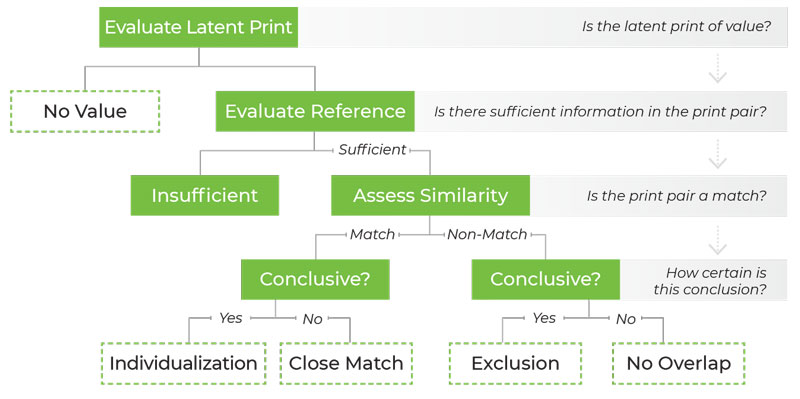 Flowchart for evaluating and matching latent prints, ending with four possible conclusions.