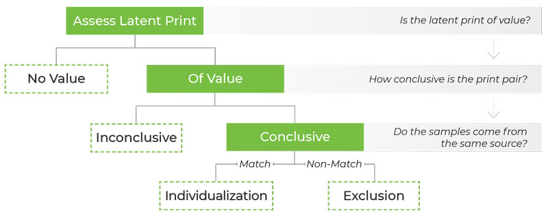 Flowchart of fingerprint print assessment process: assess, value, conclusion, match or exclusion.
