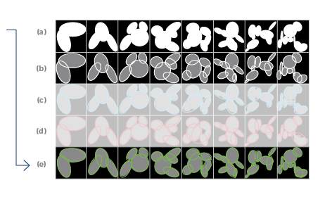Five rows of abstract white shapes, each row adding outlines or fading the previous shapes.